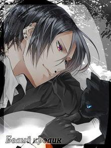 日本黑猫动漫2008,经典之作的诞生与影响