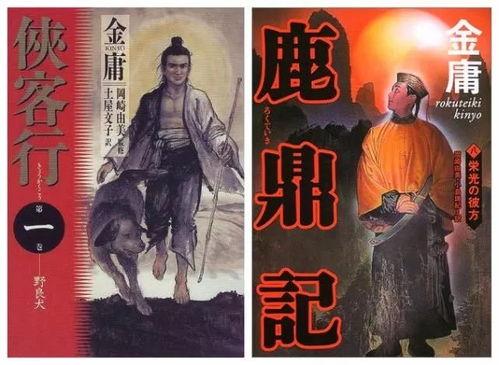 日本人看中国网络小说,日本读者眼中的中国网络小说魅力