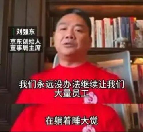 2017刘强东讲话视频,揭秘京东战略布局与未来愿景