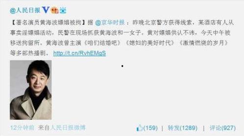 在线播放嫖妓网站,在线播放嫖妓网站背后的黑暗世界