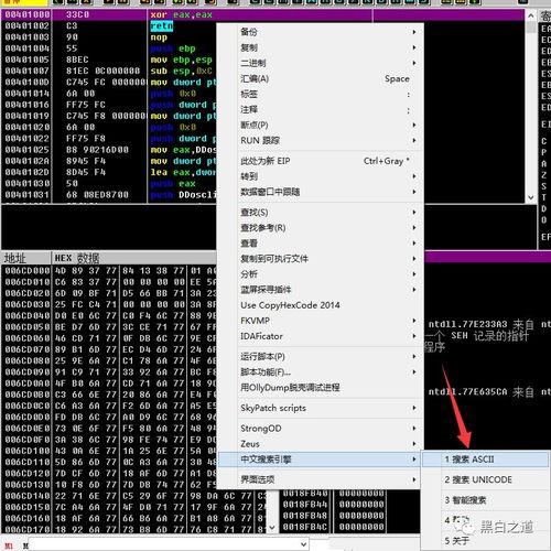 小黑小白视频爆料