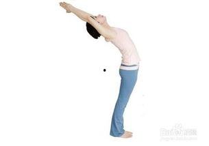 伊人瑜伽视频教程,轻松入门，享受身心和谐之美