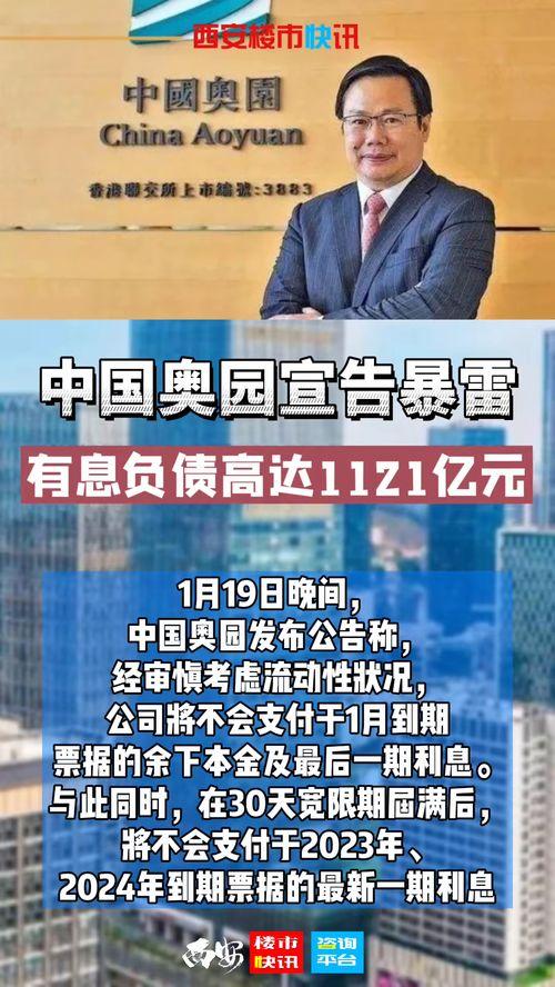 某楼市大佬爆料新闻视频,最新爆料视频深度解析