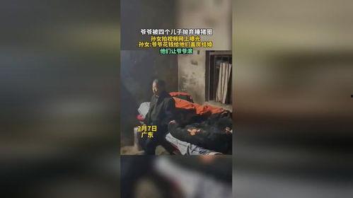 av爷爷睡了孙女视频,AV爷爷与孙女的不堪真相