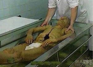 日本遗体保存学校