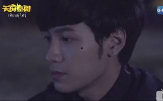 一级生泰剧在线播放,青春校园的甜蜜邂逅