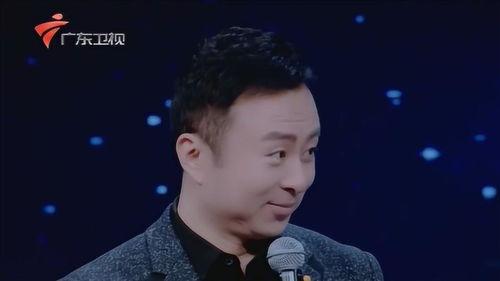 王鹏明星,星光璀璨的演艺之路