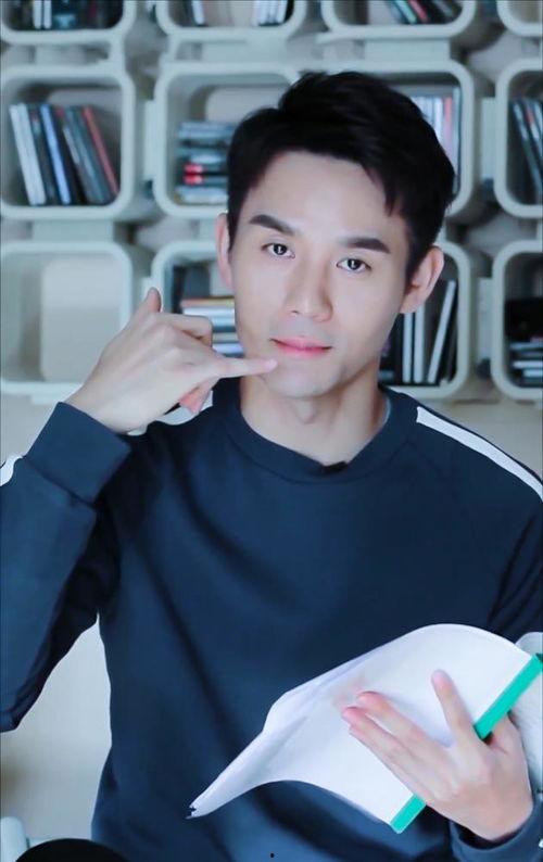 明星被侵权怎么举报,如何有效举报侵权行为