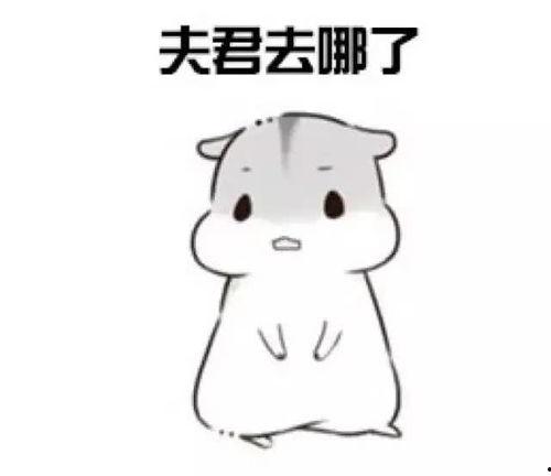 老公老婆表情包下载,老公老婆表情包下载大盘点