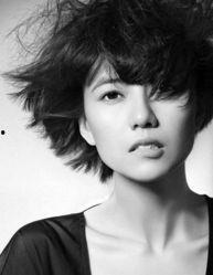 名星和明星,名星与明星的璀璨人生