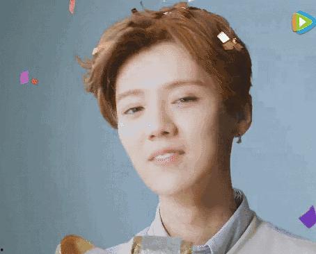 wink的男明星,揭秘Wink男明星的魅力风采