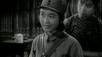 老电影平鹰坟在线观看,重温经典，探寻革命岁月的壮丽篇章