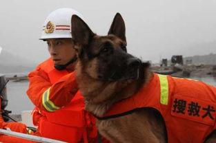 红门兄弟2集免费观看,免费解锁前两集，热血消防员的故事即将展开