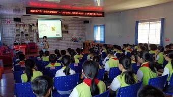 新宁路小学爆料新闻,揭秘校园内幕！