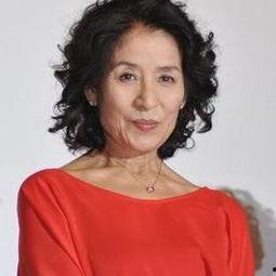 韩国库优质明星,璀璨星河中的璀璨明珠