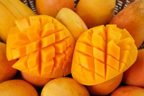 芒果和百色最新爆料,揭秘背后惊人真相