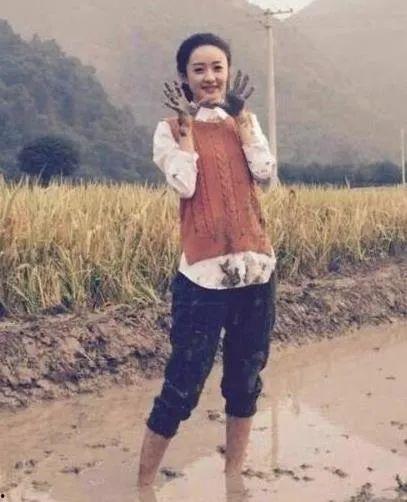 哪些明星是农村的,揭秘出身农村的璀璨明星