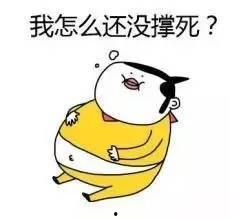 倔强式单身娱乐吃瓜酱